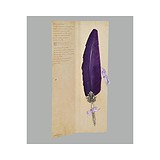 Dallaiti Гусиное перо Piu31 фиолетовое, 1746686