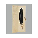 Dallaiti Гусиное перо Piu31 черное, 1746687