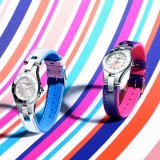 Радуга в новых ремешках для часов «Linea»
