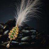 Ganjam и их дань династии Низам