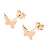 Золоті сережки, 1725955