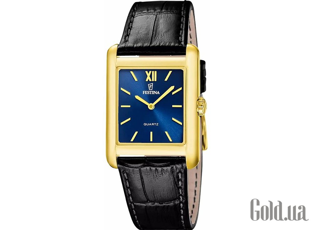 Festina Чоловічий годинник F20772/4 F20772/4
