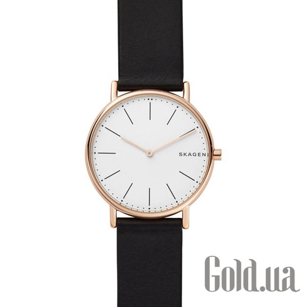 

Мужские часы Skagen, Мужские часы White Label SKW6430