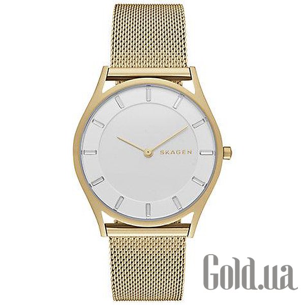 

Дизайнерские часы Skagen, SKW2377