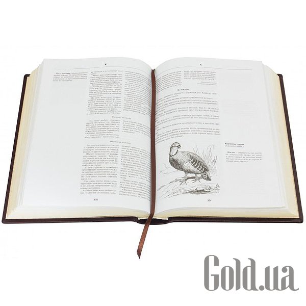 Елітні книги Україна Енциклопедія полювання 0302007009