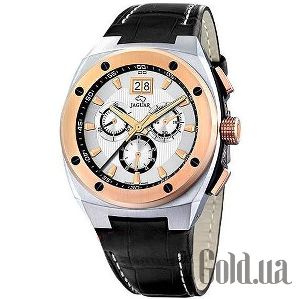 Купить Jaguar Мужские часы J625/1