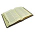 Эталон Библия. Ветхий и Новый Завет (Marma Brown) РД2313122 - фото 4