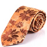 Schonau&Houcken Мужской галстук FARESHS-14, 1755433