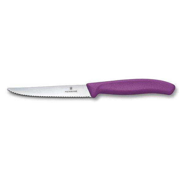 Victorinox Нож Swiss Classic Vx67235.C1