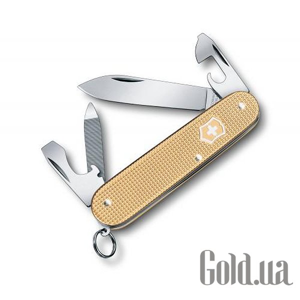 

Нож Victorinox, Нож Cadet 02601.L19