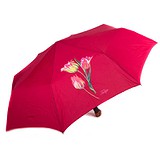 Airton парасолька Z3651-6, 1724469