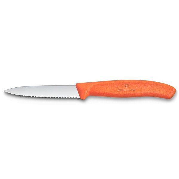 Victorinox Нож Swiss Classic Vx67639.C1