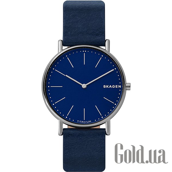

Мужские часы Skagen, Мужские часы SKW6481