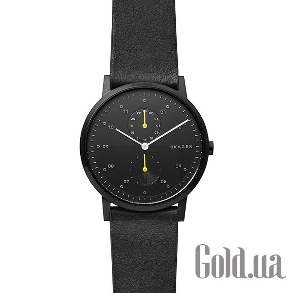 

Мужские часы Skagen, Мужские часы SKW6499