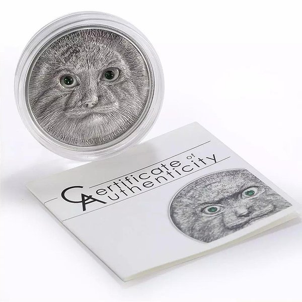 Silver Coins Серебряная монета 31 гр