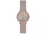 Skagen Женские часы SKW3060, 1790533