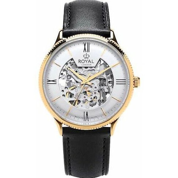 Royal London Мужские часы 41479-04