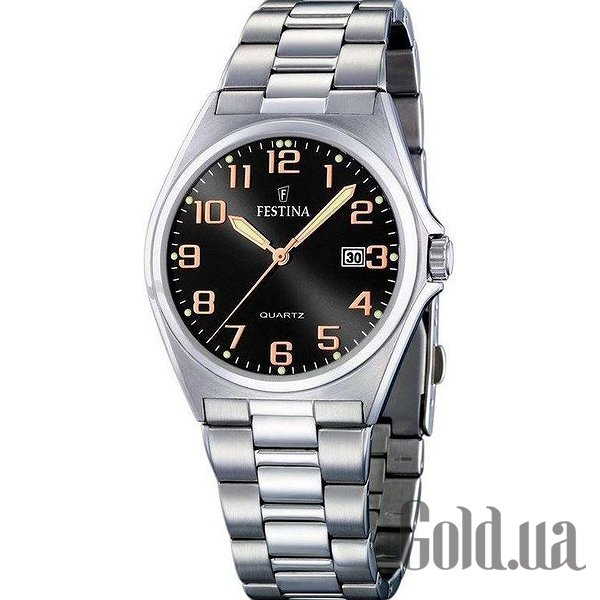 

Мужские часы Festina, Мужские часы F16374/8