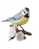 Goebel Фигурка Bird of the Year GOE-38473331, 1797470