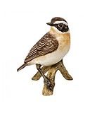 Goebel Фигурка Bird of the Year GOE-38473351, 1797471