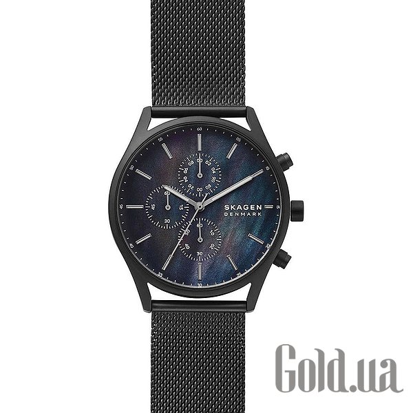 

Мужские часы Skagen, Мужские часы SKW6651