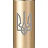 Parker Шариковая ручка Jotter 17 XL UKRAINE Matt Gold CT BP Трезубец 13432_T001b - фото 2