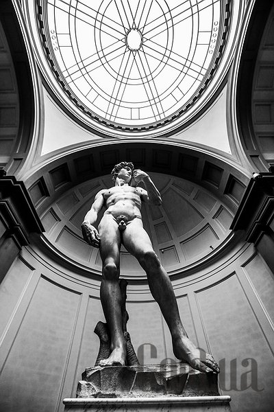 

Картина Украина, Фотокартина "David"
