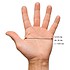 Amo Accessori Перчатки Gloves AMOm1601 - фото 7
