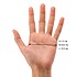 Amo Accessori Перчатки Gloves AMOw1501 - фото 7