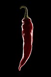 Фотокартина "Red pepper", 1764971