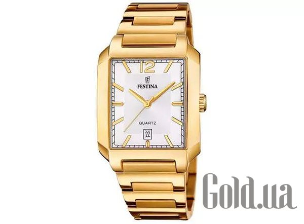 

Мужские часы Festina, Мужские часы F20678/2