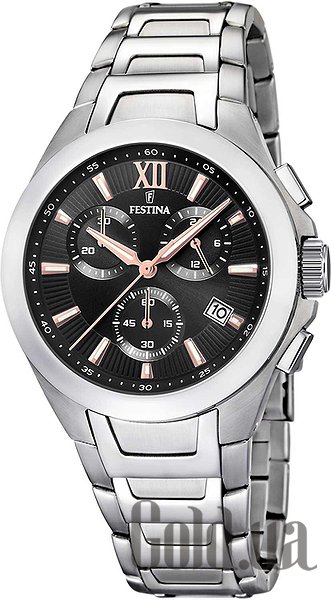 

Мужские часы Festina, Мужские часы F16678/C