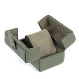 Salvadore Шкатулка для часов Y8969-01011 GN, 1793658