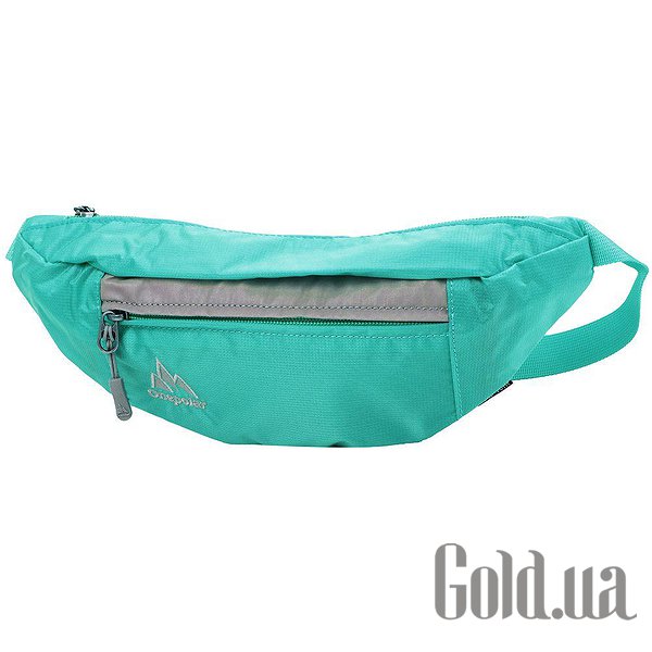 

Сумки женские Onepolar, Бирюзовый, Сумка на пояc W5661-biruza