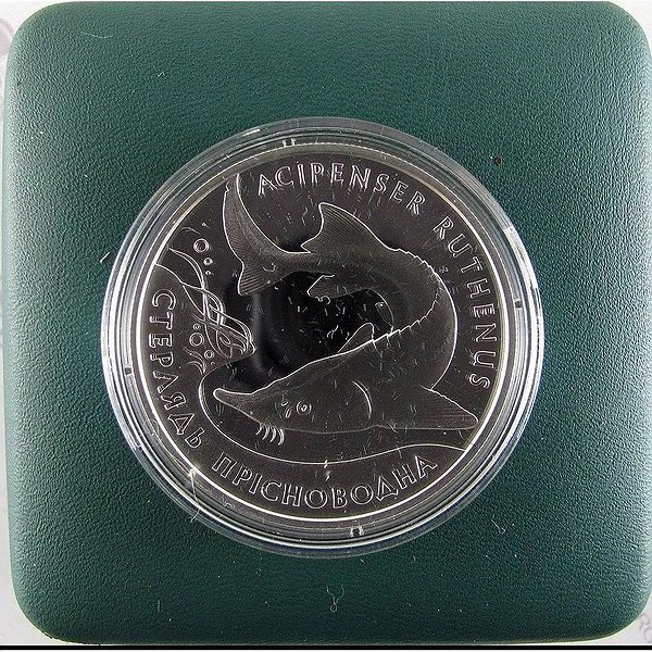 Silver Coins Серебряная монета 31 гр