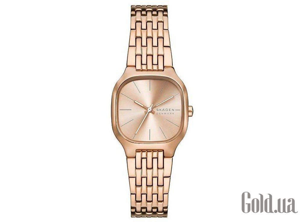 Skagen Женские часы SKW3166 SKW3166