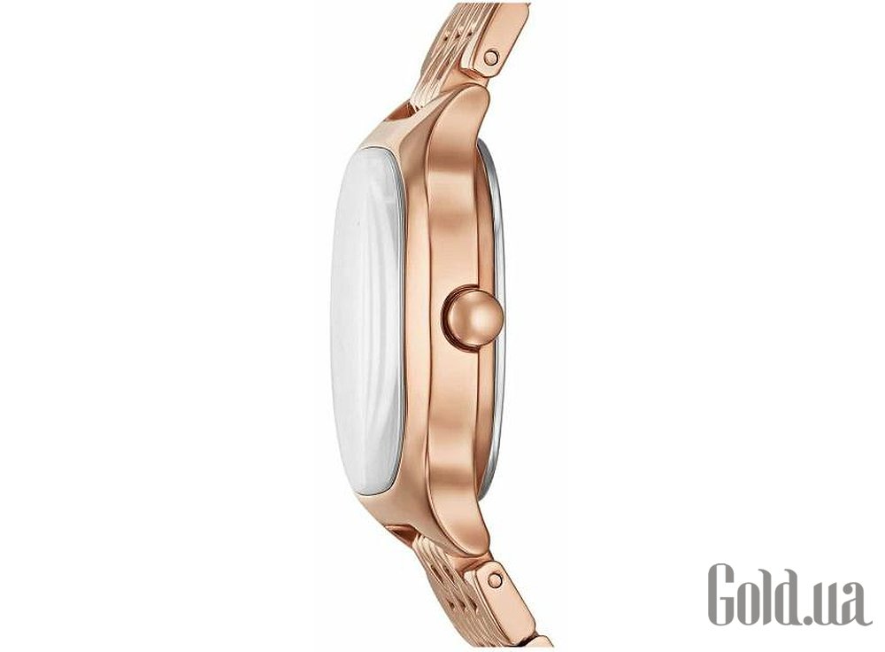Skagen Женские часы SKW3166 SKW3166 – изображение 2