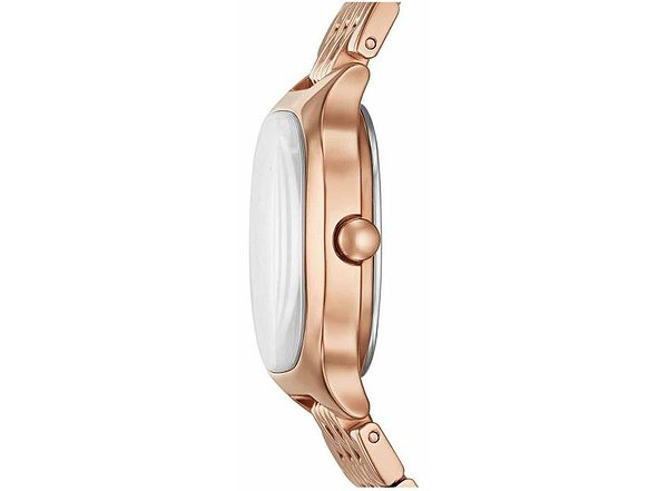 Skagen Женские часы SKW3166 SKW3166 – изображение 2