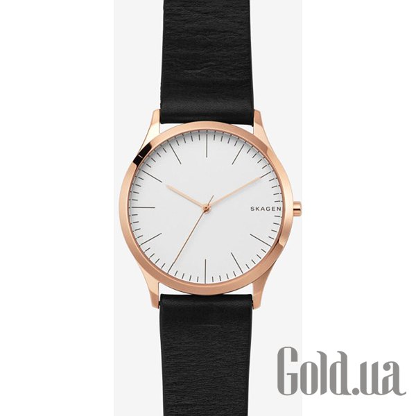 

Мужские часы Skagen, Мужские часы White Label SKW1102