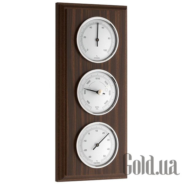 

Метеостанция TFA, Метеостанция 201088