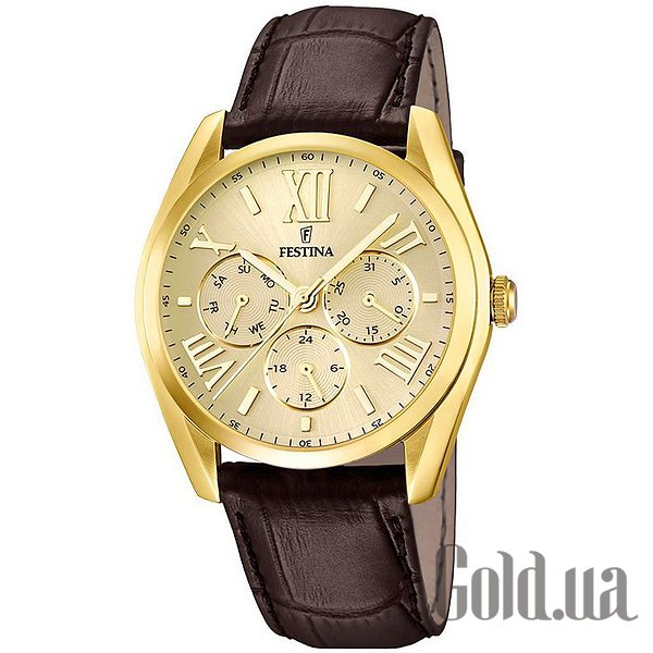 

Мужские часы Festina, Мужские часы Multifunction F16753/2