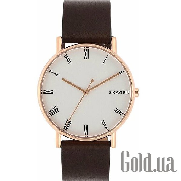 

Дизайнерские часы Skagen, Мужские часы SKW6493