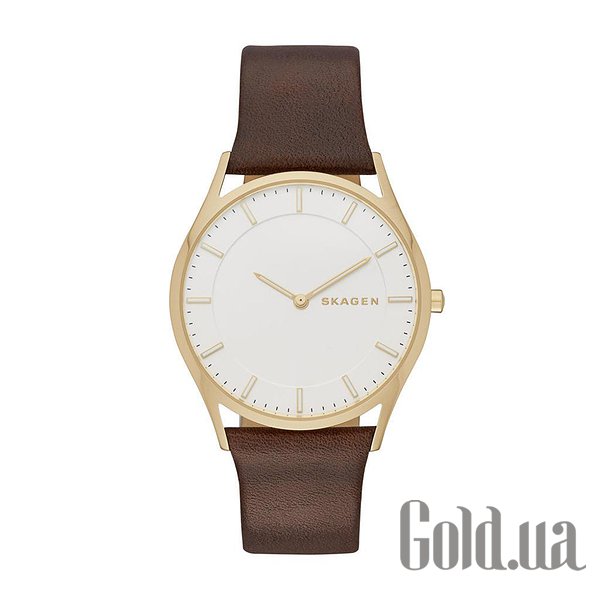 

Мужские часы Skagen, Мужские часы Holst SKW6225