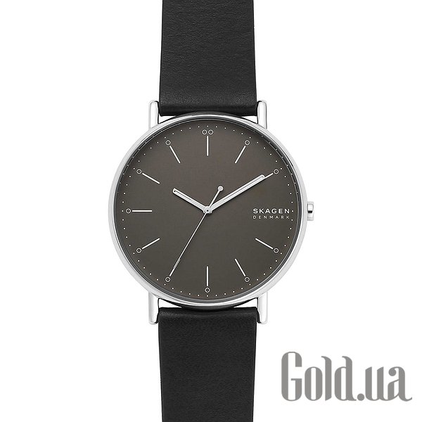 

Дизайнерские часы Skagen, Мужские часы SKW6528