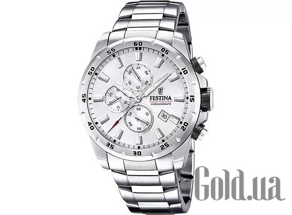 

Мужские часы Festina, Мужские часы F20463/1