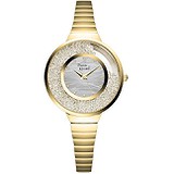 Pierre Ricaud Жіночий годинник Bracelet 21093.114SQ