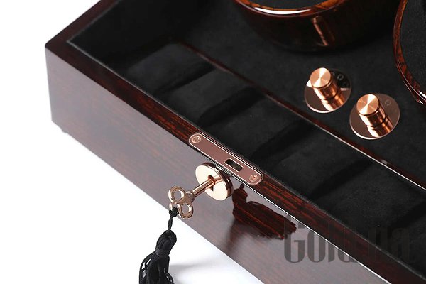 Скринька для годинника Salvadore Скринька для годинника 031/GF/F/5L