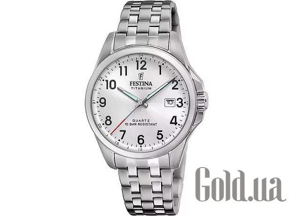 

Мужские часы Festina, Мужские часы F20696/1