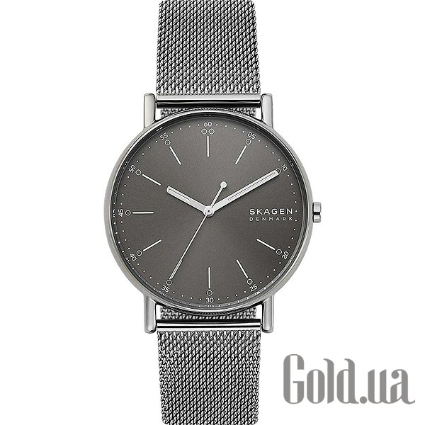 

Дизайнерские часы Skagen, Мужские часы SKW6577