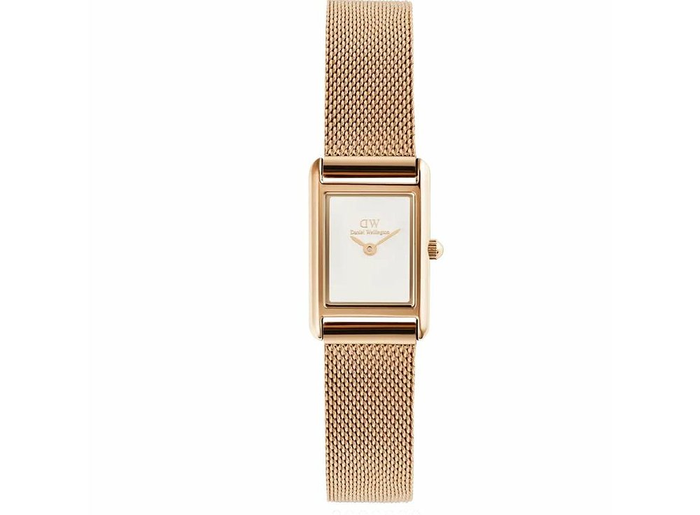 Часы Daniel Wellington Bound Mini DW00100929